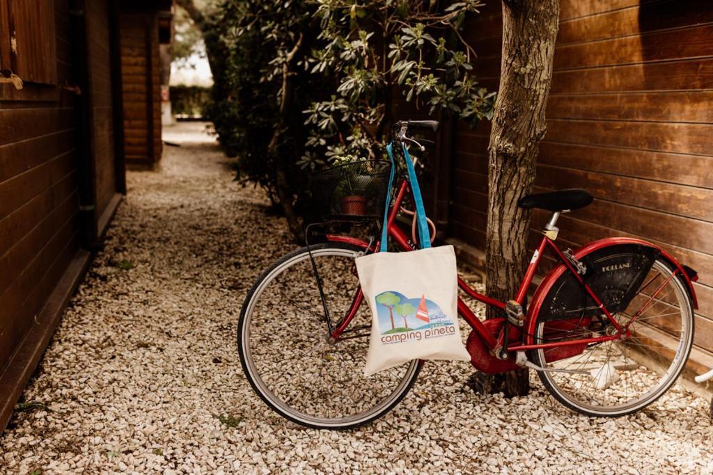 Camping La Pineta Porto Recanati Bagian luar foto